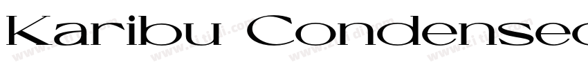 Karibu Condensed Ext字体转换